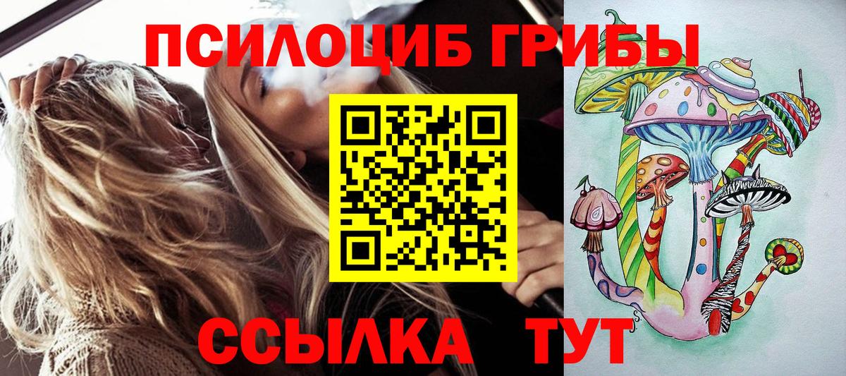 Галлюциногенные грибы прущие грибы Курск