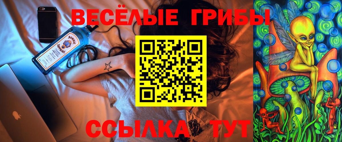 Курск  Псилоцибиновые грибы мухоморы  Галлюциногенные грибы MAGIC MUSHROOMS  продажа наркотиков  Вход с VPN 